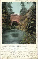 Rustic Bridge, Point Defiance Park Tacoma, WA Postcard Postcard