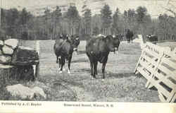 Homeward Bound Warner, NH Postcard Postcard