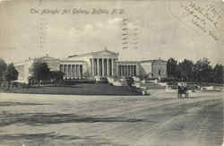 The Albright Art Gallery Postcard