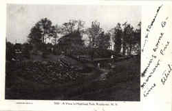 A View In Highland Park Postcard