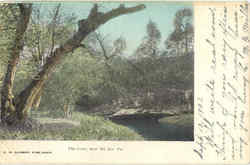 The Cove Postcard