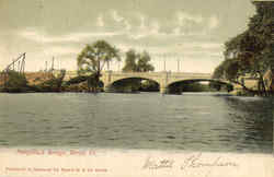Naugatuck Bridge Derby, CT Postcard Postcard