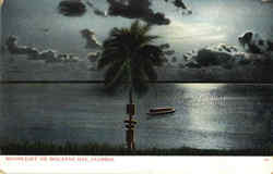 Moonlight On Biscayne Bay Postcard