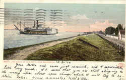The Levee At Chalmette Postcard