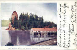 Rooster Rock And Salmon Cannery Postcard