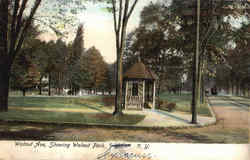 Walnut Ave, Walnut Park Postcard