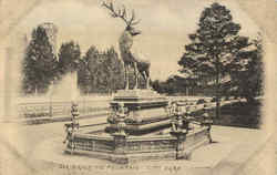 Elk Drinking Fountain, City Park Postcard