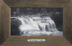 Devasego Falls Catskills, NY Postcard Postcard
