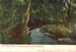 The Mill Race Postcard