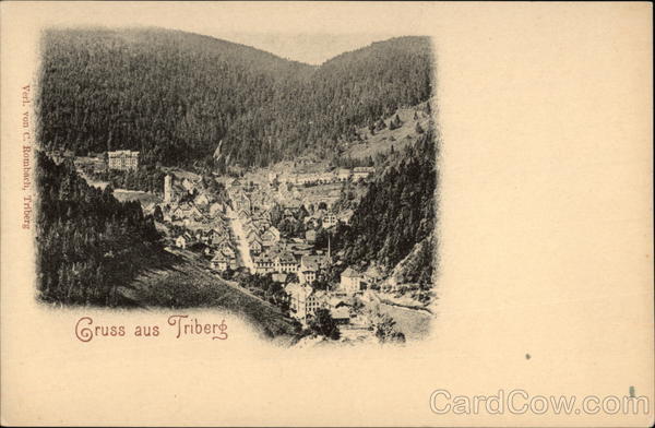 Aerial View of Town Triberg Germany