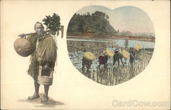 Rice Farming / Planting