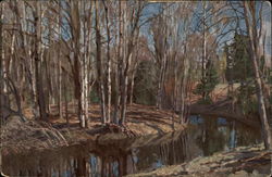 C. Жyковскiй. Oсень. / S. Joukovsky. Automne Postcard