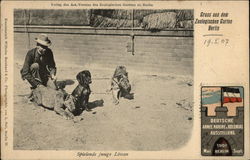 Stock #372217 Thumbnail