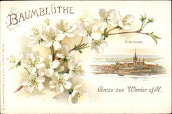 View of Town Postcard