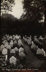 Hyde Park - The Dogs Cemetery London, England Postcard Postcard