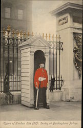 Sentry at Buckingham Palace London, England Postcard Postcard