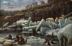Hagenbeck's Zoo Postcard