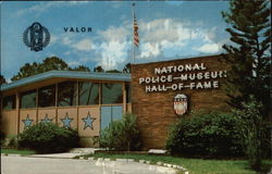 Stock #372959 Thumbnail