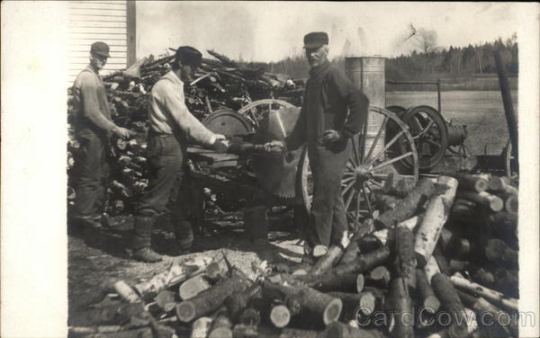 Three Men Cutting Trees Logging