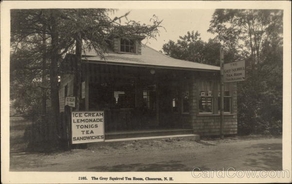 The Grey Squirrel Tea Room Chocorua New Hampshire