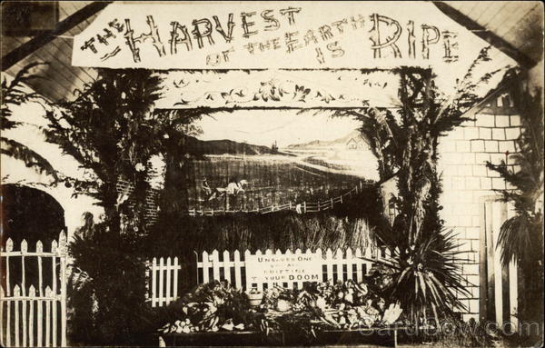 The Harvest of the Earth is Ripe Vegetables