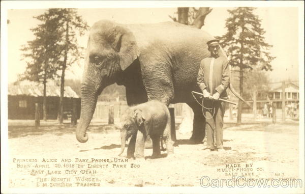 Liberty Park Zoo - Elephants Princess Alice and Baby Prince Utah Salt Lake City