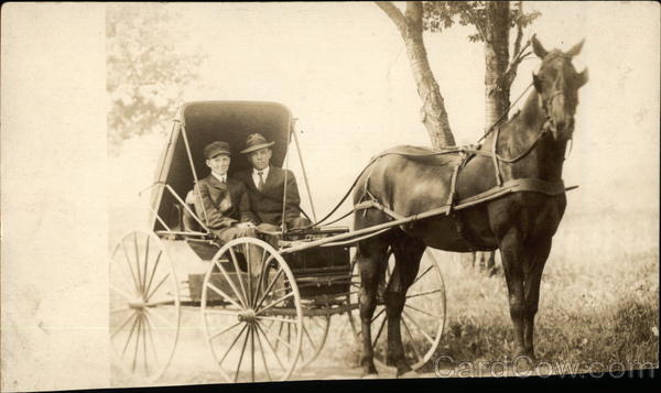 Horse and Cart Horses