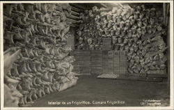 Interior de un Frigorifico, Camara Frigorifica Postcard