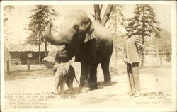 Liberty Park Zoo - Elephants Princess Alice and Baby Prince Utah Salt Lake City, UT Postcard Postcard