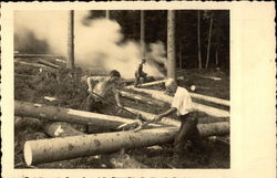 Logging Logging