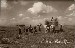 Satrap Photo Papier Postcard