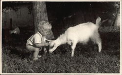 curly haired boy betting young goat Postcard
