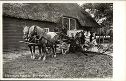 Zeeuwsche hofstede, Zuid-Beveland Postcard