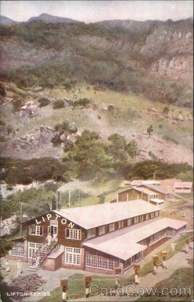 View on Ceylon Tea Estate Coffee & Tea