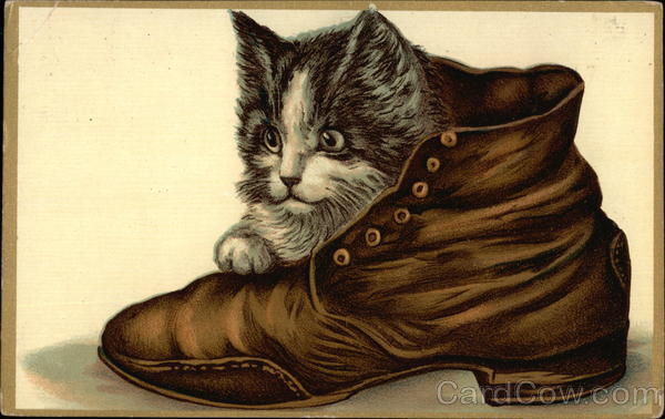 Kitten in a Boot Cats