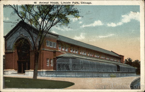 Animal House, Lincoln Park Chicago Illinois