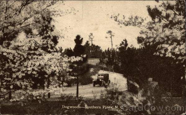 Dogwoods-Southern Pines,N.C Trains, Railroad