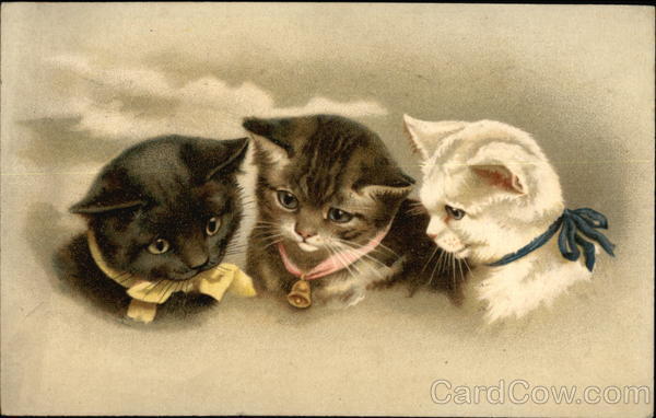 Three Kittens with Yellow, Pink and Blue Ribbons Cats