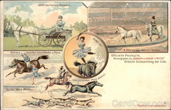German, Circus Horses