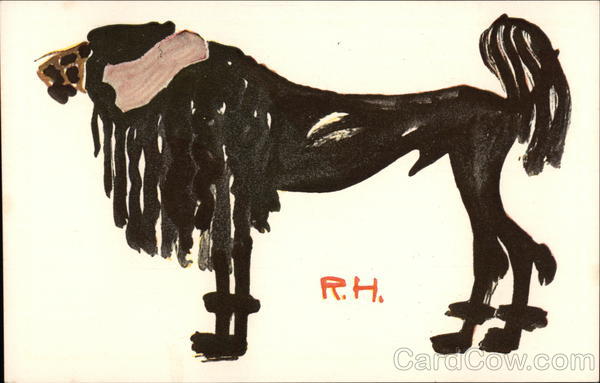 German Wolfhound? R.H. Dogs