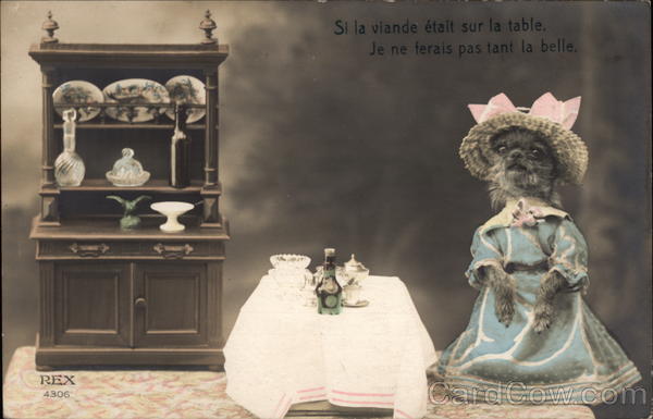 Small Dog in Dress with Miniature Furniture Dogs