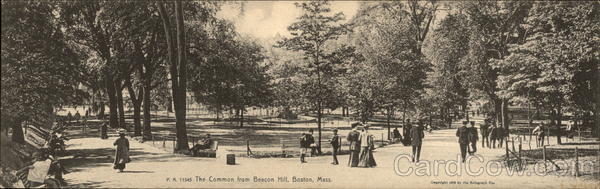 The Common from Beacon Hill Boston Massachusetts