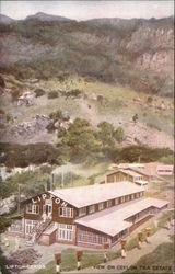 View on Ceylon Tea Estate Postcard