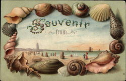Souvenir from ------ Shell Border Postcard