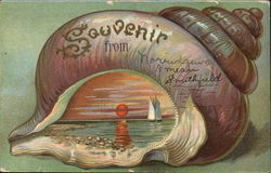 Shell with a sunset Postcard