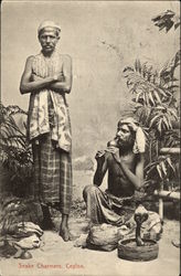 Snake Charmers, Ceylon (Sri Lanka) Postcard