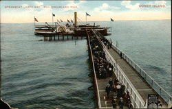 Steamboat "Cape May" and Dreamland Pier at Coney Island Postcard