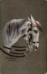 Painting of Grey Horse Horses Postcard Postcard