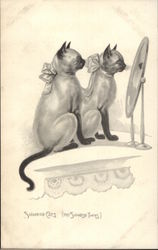 Siamese Cats Looking in Mirror Postcard