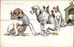Dichiarazione di Guerra - Declaration of War Dogs Postcard Postcard